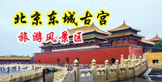 大鸡吧美女强奸美女中国北京-东城古宫旅游风景区